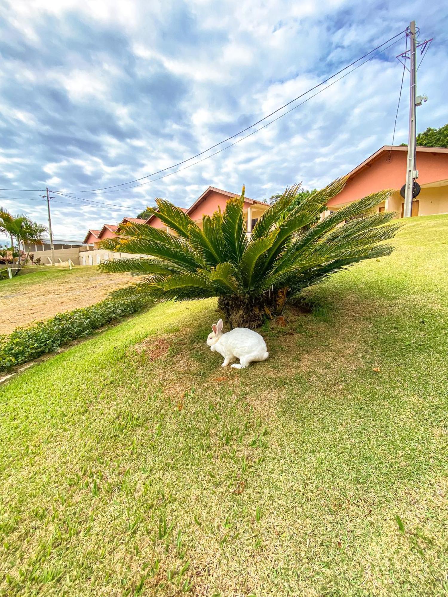 Pousada Flores Do Campo Aguas de Lindoia Exterior photo